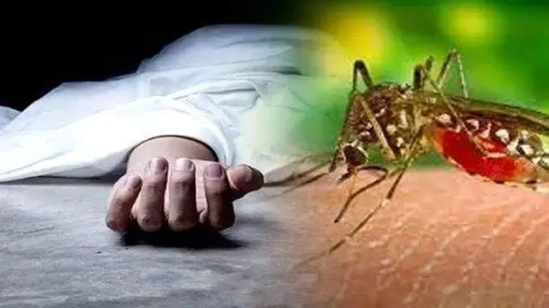 बंथरा में बुखार से वृद्धा की मौत... कई बीमार, सूचना के बावजूद नहीं पहुंची स्वास्थ्य विभाग की टीम