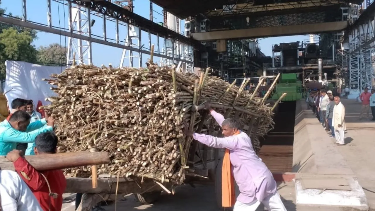 कुशीनगर में पेराई सत्र का शुभारंभ: गन्ना किसानों के लिए नवंबर के पहले सप्ताह से शुरु होगी प्रक्रिया, निर्देश जारी