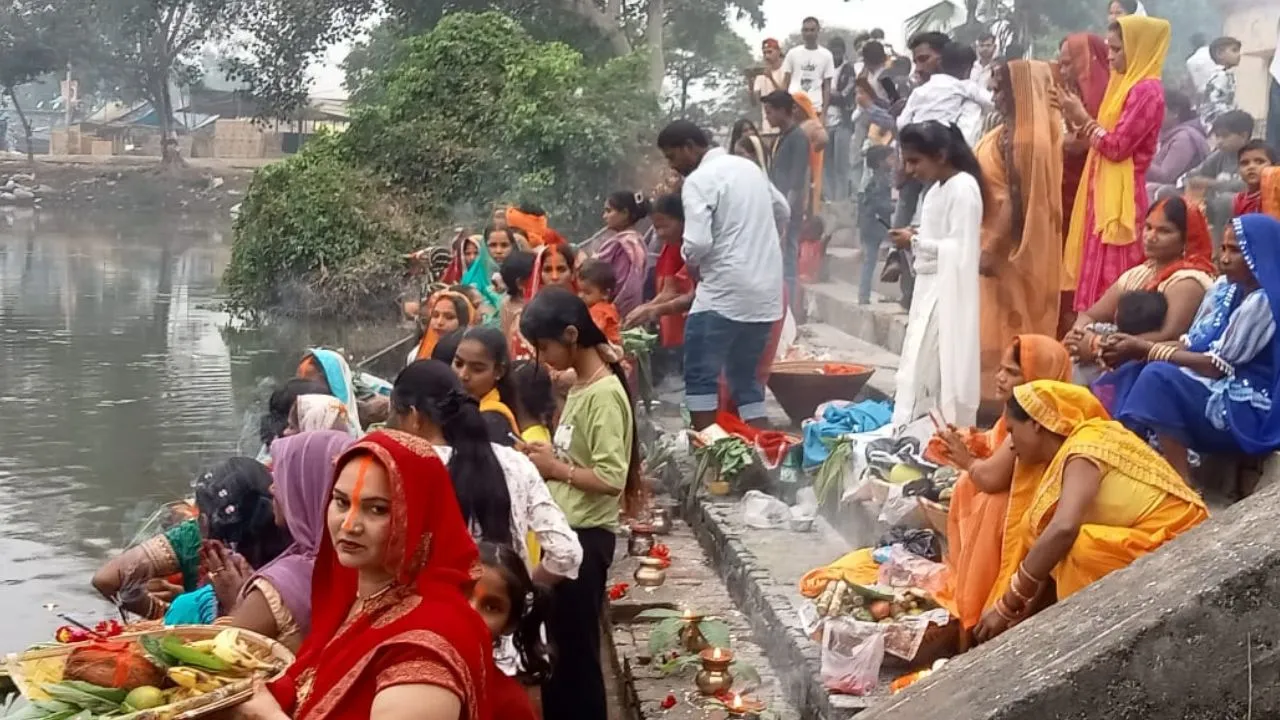 Untitled design (48)