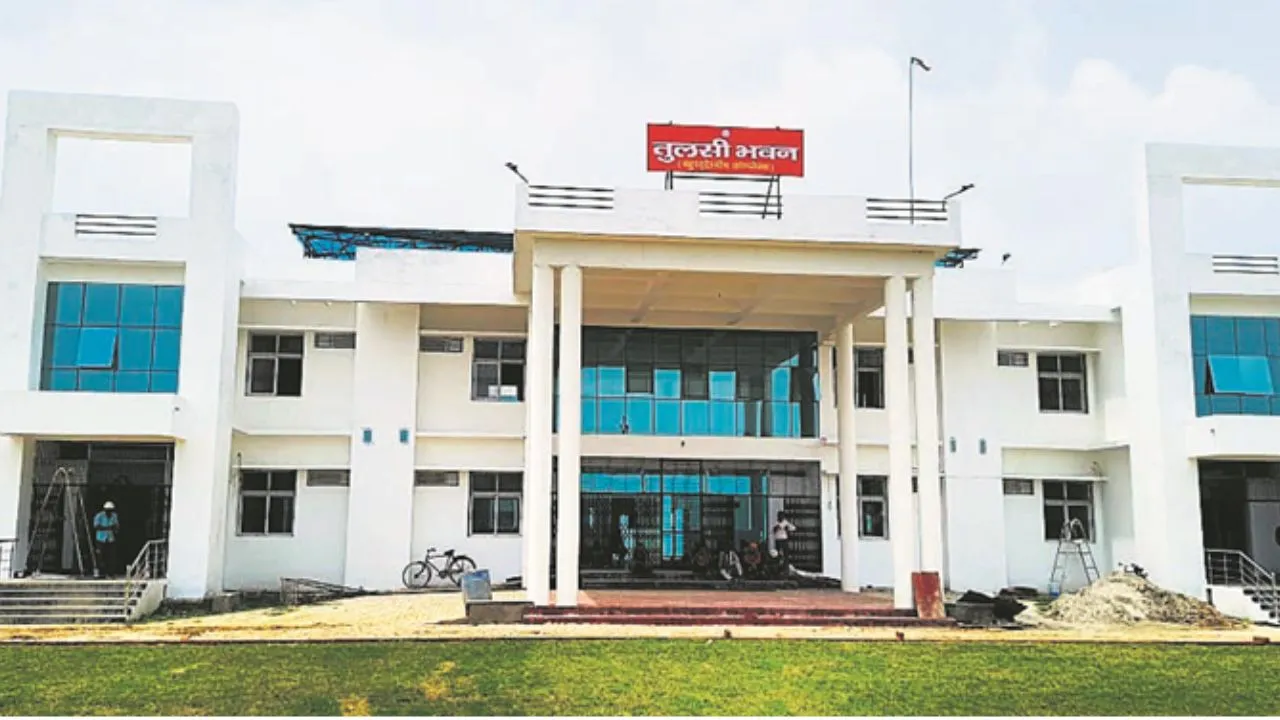 Untitled design (72)