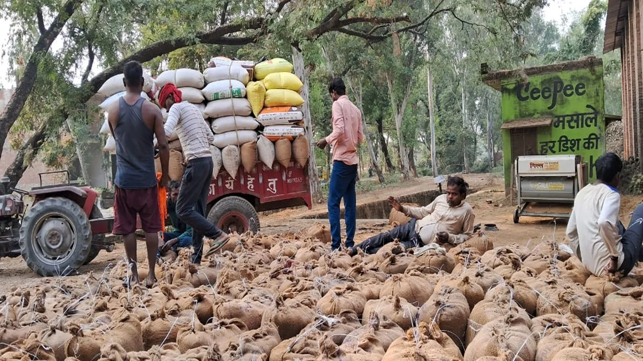 बाराबंकी : धान की खरीद थमी, किसान परेशान