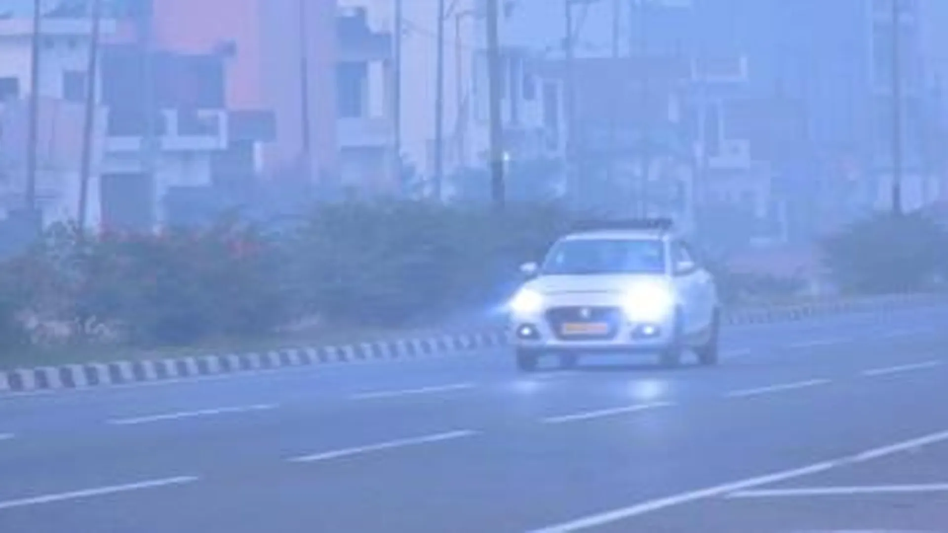 मुरादाबाद : सुबह छाया घना कोहरा, दिन में ठंडी हवा के साथ खिली धूप