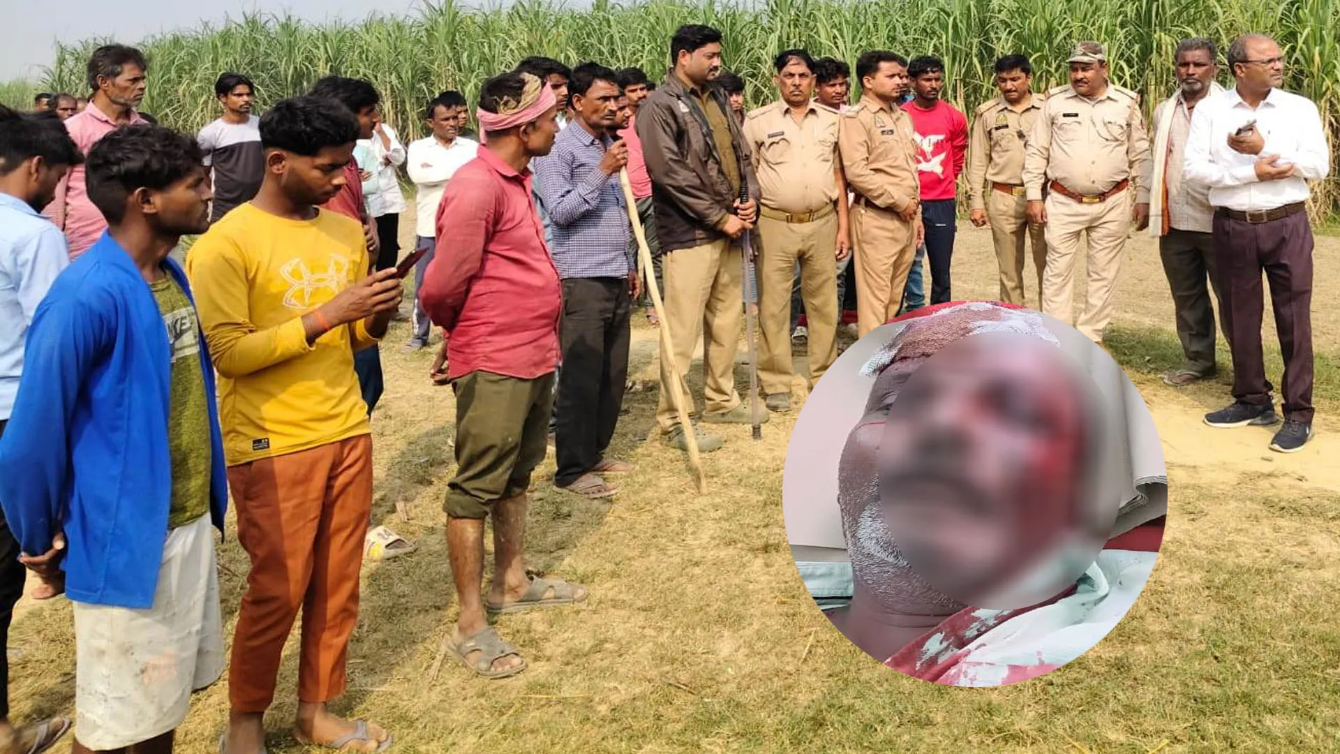 लखीमपुर खीरी : खेत में चारा लेने गए किसान पर बाघ ने किया हमला 