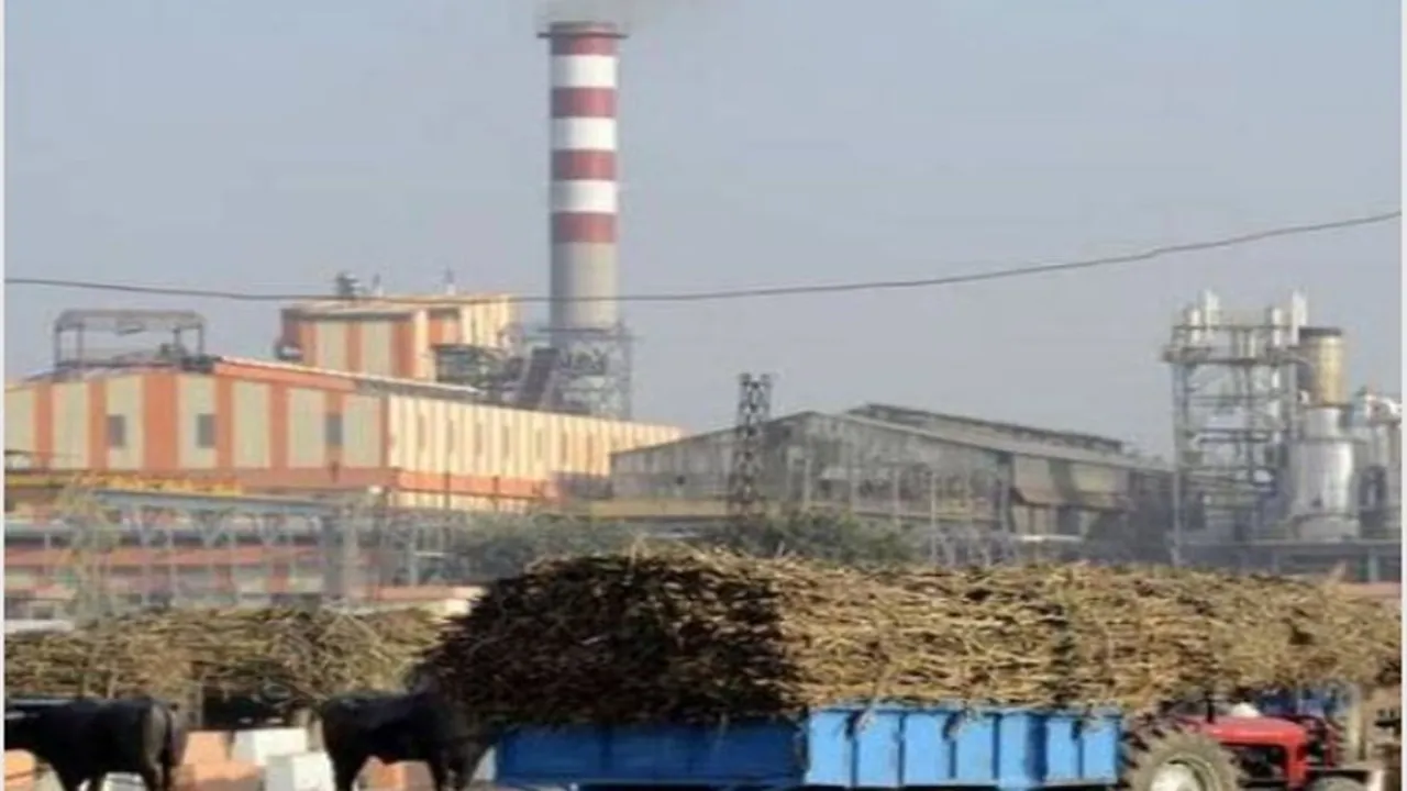 किसानों के लिए खुशखबरी, उत्तर प्रदेश की 21 चीनी मिलों ने शुरू किया गन्ना पेराई कार्य