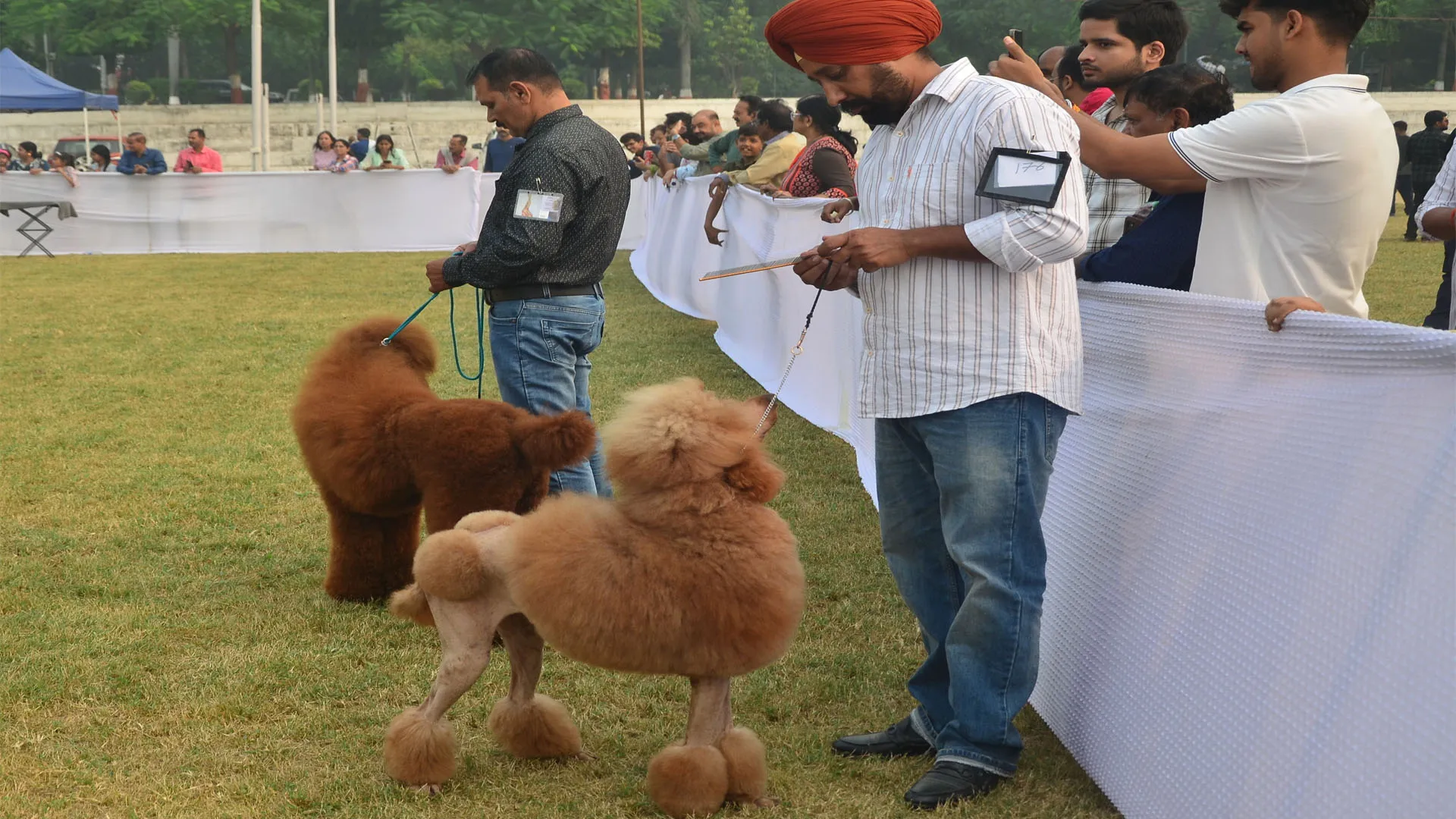 डॉग शो :बिना एनओसी अंतर्राष्ट्रीय डॉग शो पर नगर निगम अधिकारियों ने दी चेतावनी