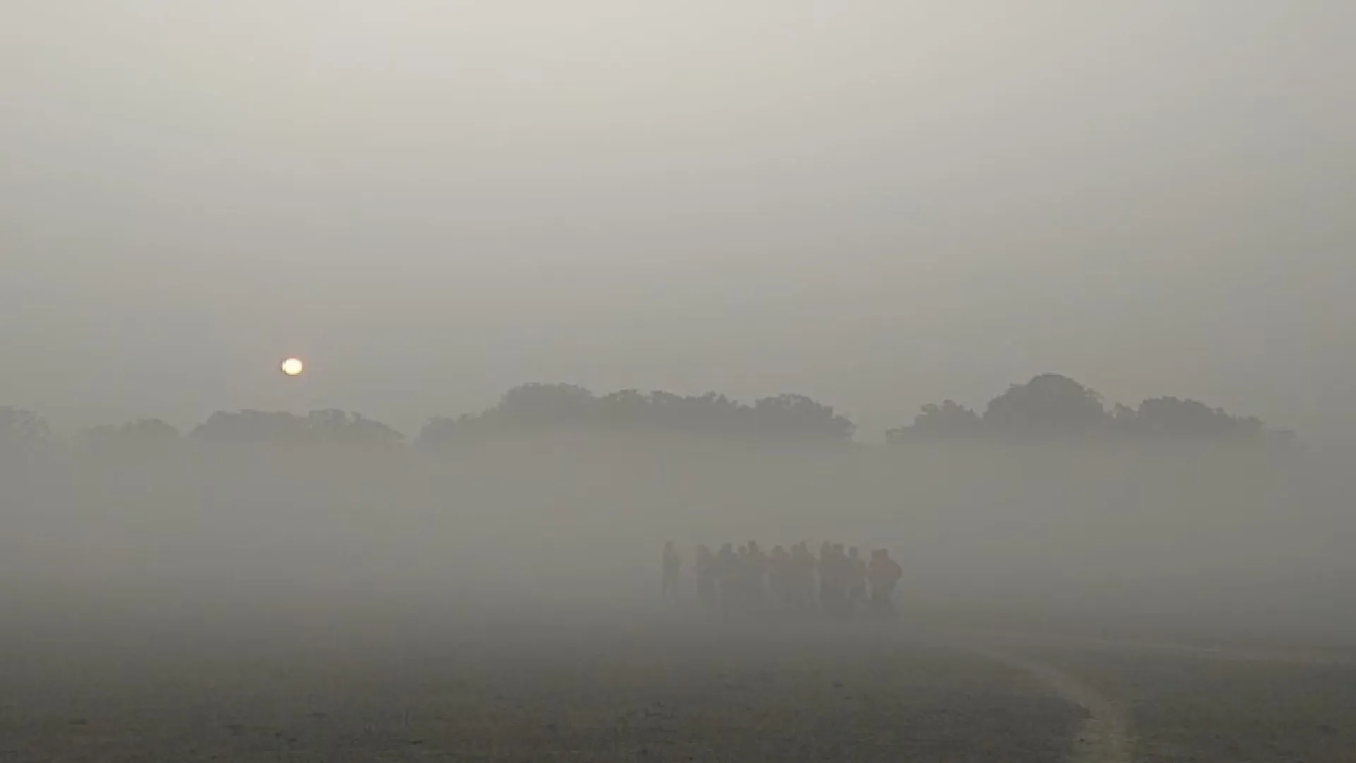 Moradabad: ठिठुरन बढ़ी, सुबह कोहरे के बाद दोपहर में मिली हल्की धूप, शाम होते ही फिर सर्दी का सितम