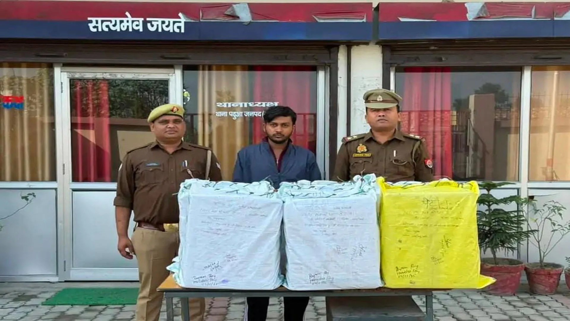 लखीमपुर खीरी: ढखेरवा में मेडिकल एजेंसी से आठ पेटी कोडिन सिरप बरामद, एक गिरफ्तार