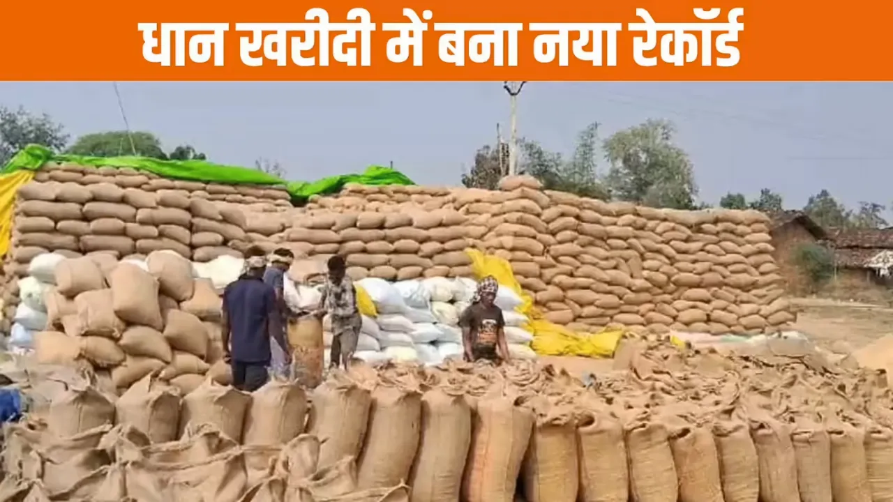 UP News: धान खरीद के साथ भुगतान की रफ्तार भी तेज... 17 प्रतिशत नमी वाला धान ही खरीद योग्य