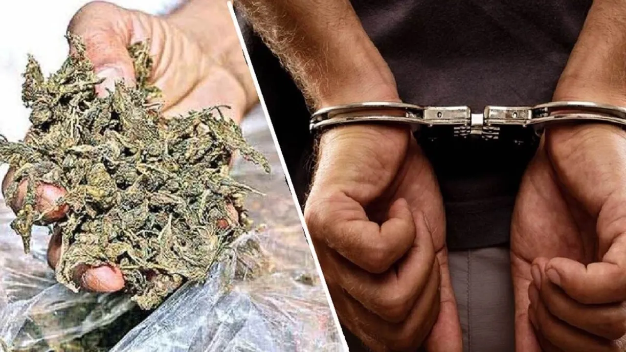 UP News:  ANTF ने अमेरिकन गांजे के साथ दो तस्कर को किया गिरफ्तार... फर्जी दरोगा बनकर तस्करी करने वाले दो फरार, तलाश जारी