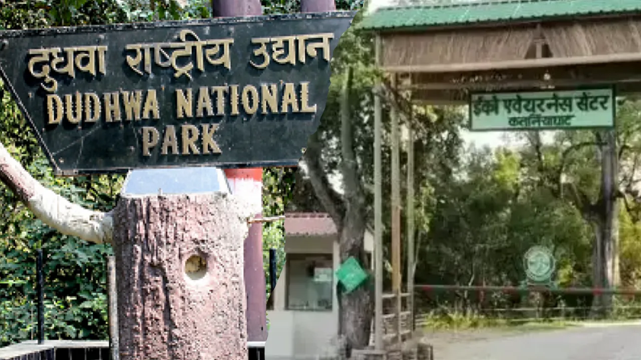 थारू-थाली, शिल्पग्राम और नदी सफारी का होगा विस्तार, पर्यटकों को दुधवा और कतर्नियाघाट में मिलेगा अनोखा अनुभव