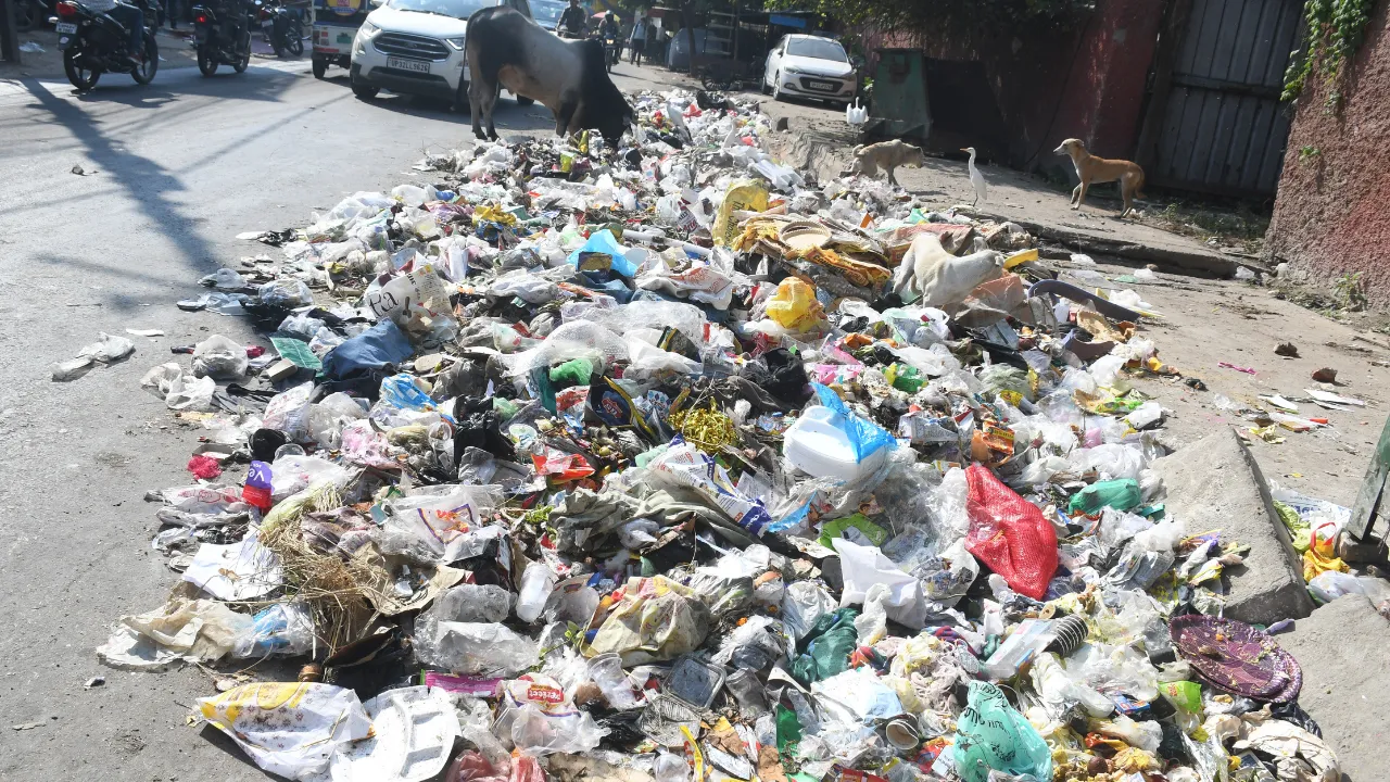 कूड़े के साथ अपनी सड़क उठा ले गया नगर निगम... हुआ 20 फीट लंबा, तीन फीट चौड़ा और ढाई फिट गहरा हुआ गड्ढा