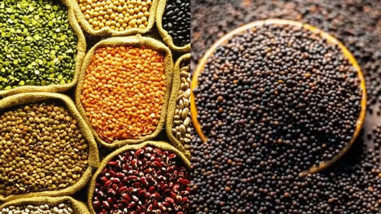 Ayodhya News: प्रदेश को दलहन, तिलहन में आत्मनिर्भर बनाने का आह्वान, कृषि विश्वविद्यालय में हुई अयोध्या और देवीपाटन मंडल की संयुक्त रबी उत्पादकता गोष्ठी