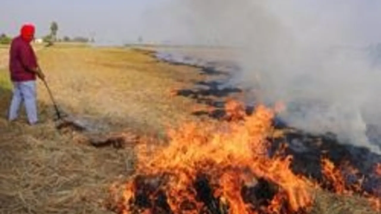 UP News:  20 जिलों में पराली जलाने पर लगा अंकुश, नहीं मानें तो लगेगा जुर्माना