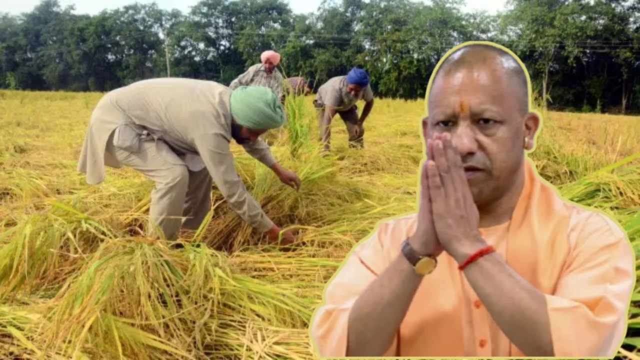 योगी सरकार ‘गैर-हाइब्रिड’ धान पर देगी एक प्रतिशत की छूट, 15 लाख किसानों को होगा लाभ, बोले CM Yogi- राइस मिलर्स न केवल...