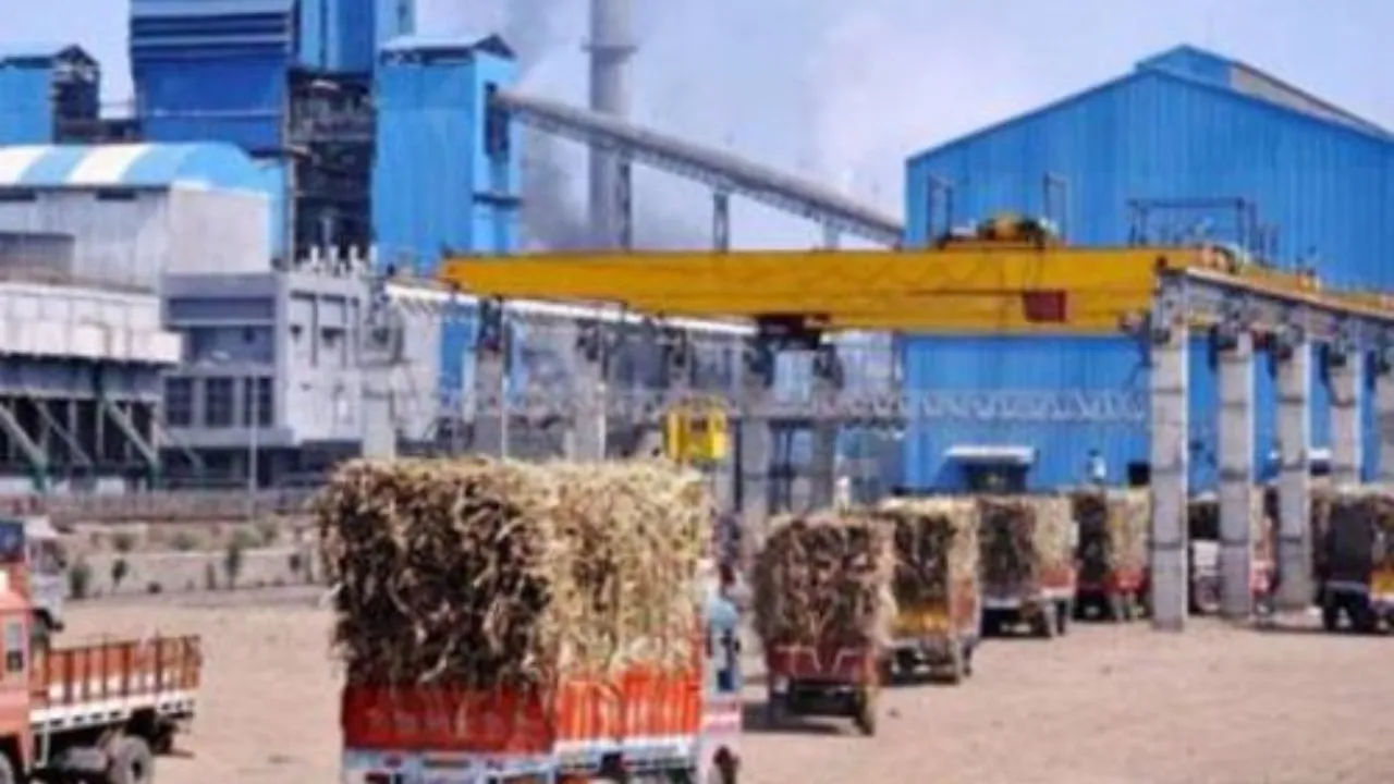 UP News: निजी चीनी मिलों ने गन्ना पेराई में बनाई बढ़त... सहकारी मिलों में मरम्मत और तैयारी चल रही पीछे