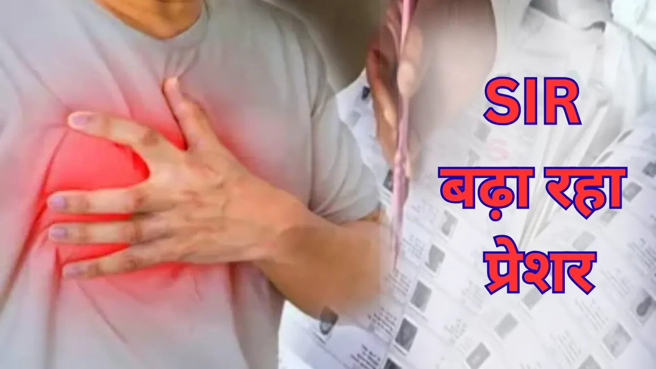 कार्य के दबाव में बीएलओ कर्मियों की जा रही जान... कांग्रेस ने उठाई न्यायिक जांच और समय सीमा बढ़ाने की मांग