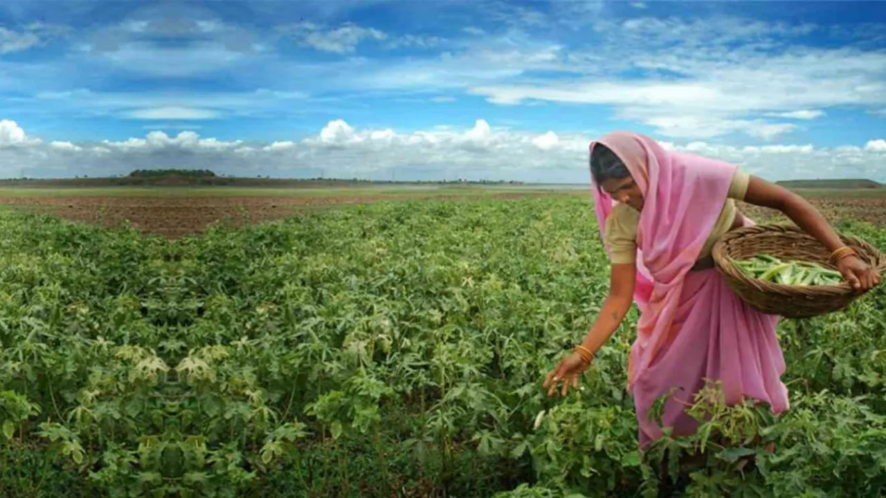 किसानों को लाभ दिलाने को भू-इंजीनियरिंग मॉडल पर तेजी से हो रहा काम, 15 दिनों के भीतर पेश होगी विस्तृत रिपोर्ट
