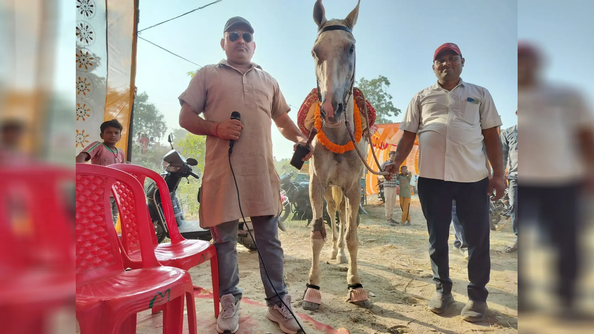 चौबारी का नखासा: राजस्थान का घोड़ा कीमत में सब पर भारी...सिंधी चाल पर 'महादेवा' ने लूटी वाहवाही