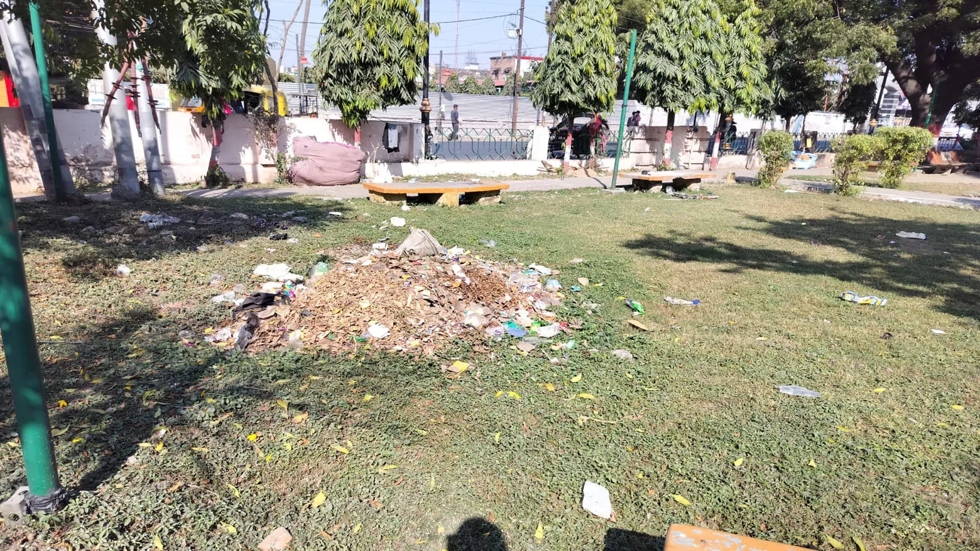 Bareilly: पानी देने वाले हाथ कहां, पार्कों में मुरझा रही हरियाली