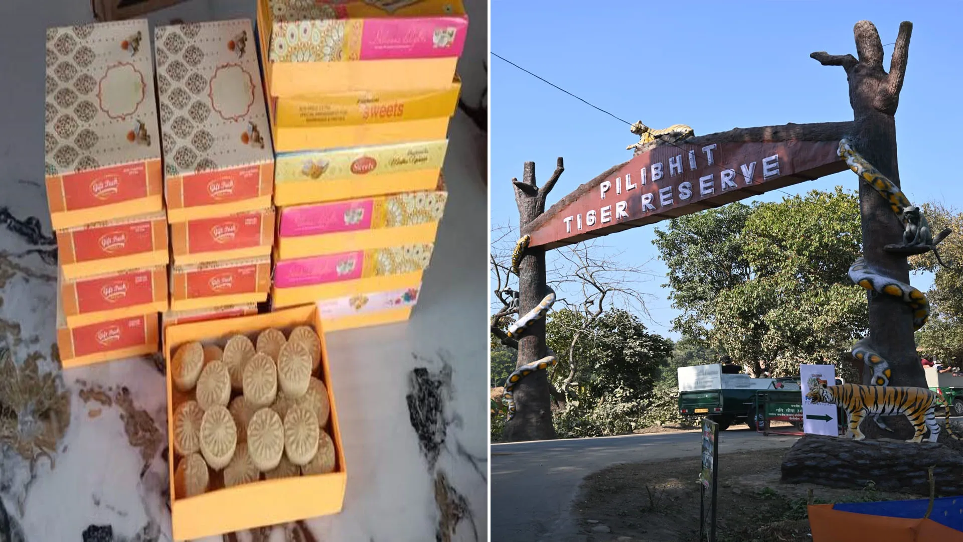 Pilibhit: अब पीटीआर करेगा मिठाई की ब्रांडिंग, जंगल किनारे बसे समुदाय की बढ़ेगी आजीविका