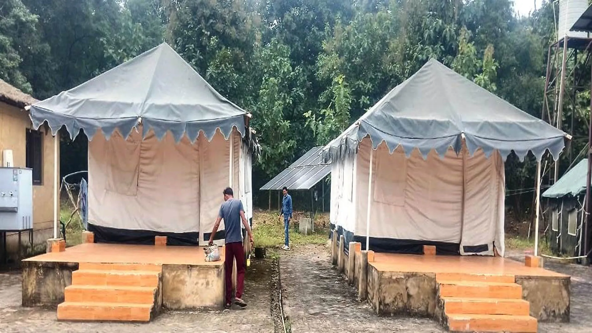 UP : इंतजार हुआ खत्म...पीटीआर में आज फ्री में उठा सकेंगे जंगल सफारी का मजा