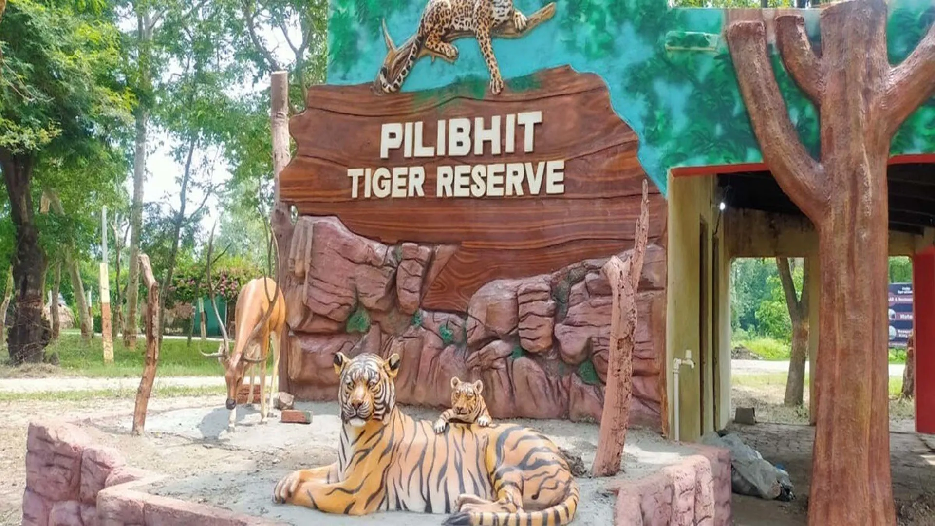 Pilibhit: पीटीआर में 10 दिसंबर से शुरू होगी राष्ट्रीय बाघ गणना