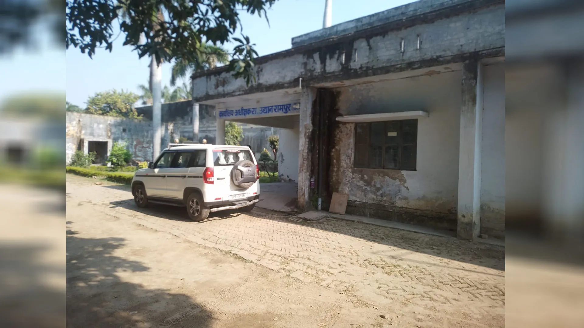 Rampur: बीज जलाने के मामले में उद्यान निरीक्षक निलंबित, दो मालियों का अग्रिम आदेशों तक रोका वेतन