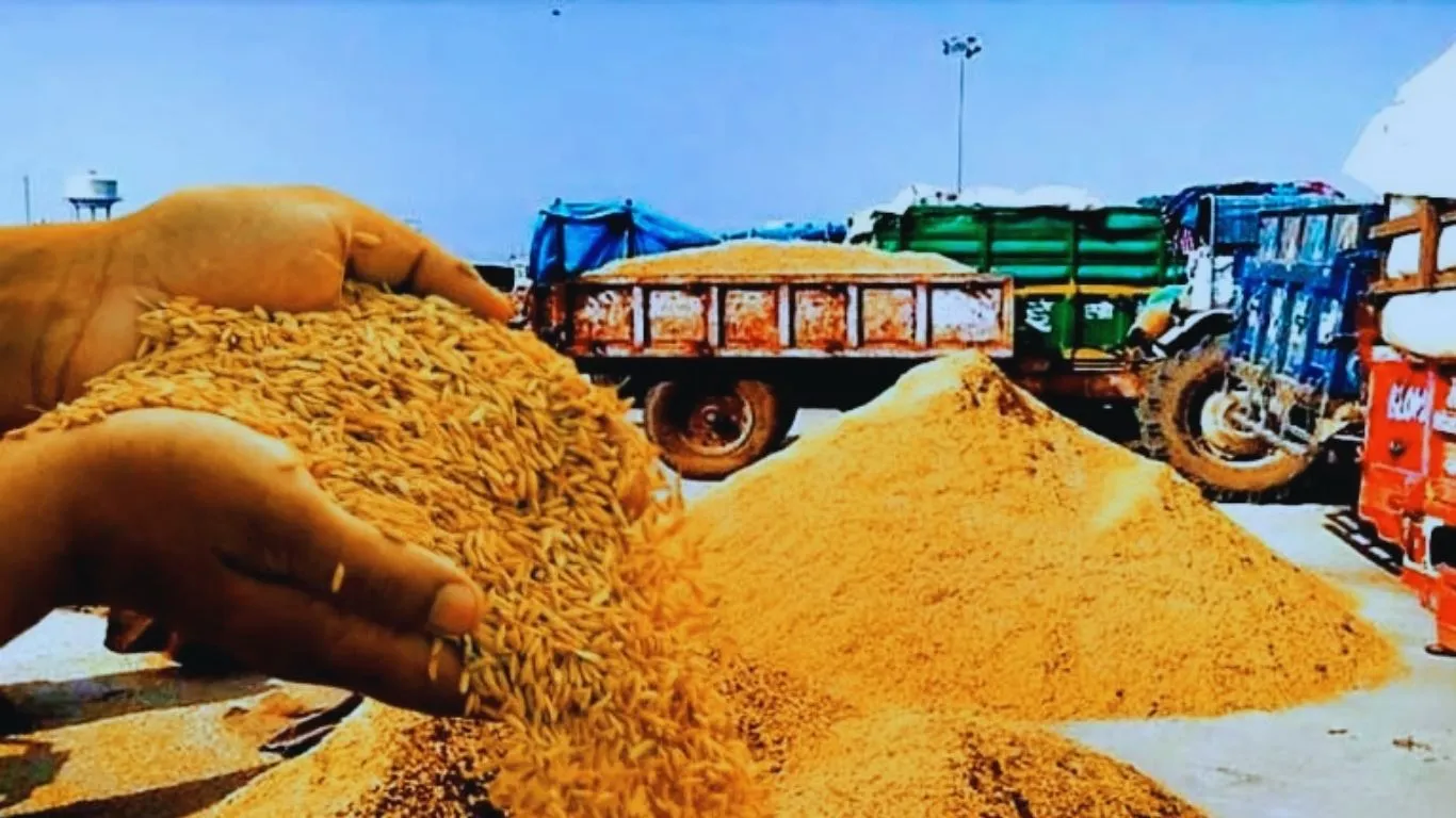   1900 रुपये प्रति क्विंटल पर ठहरा धान का बाजार :  सरकारी क्रय केंद्र बड़ा कारण, उठान न हो पाने से पिछड़ रहा भंडारण 
