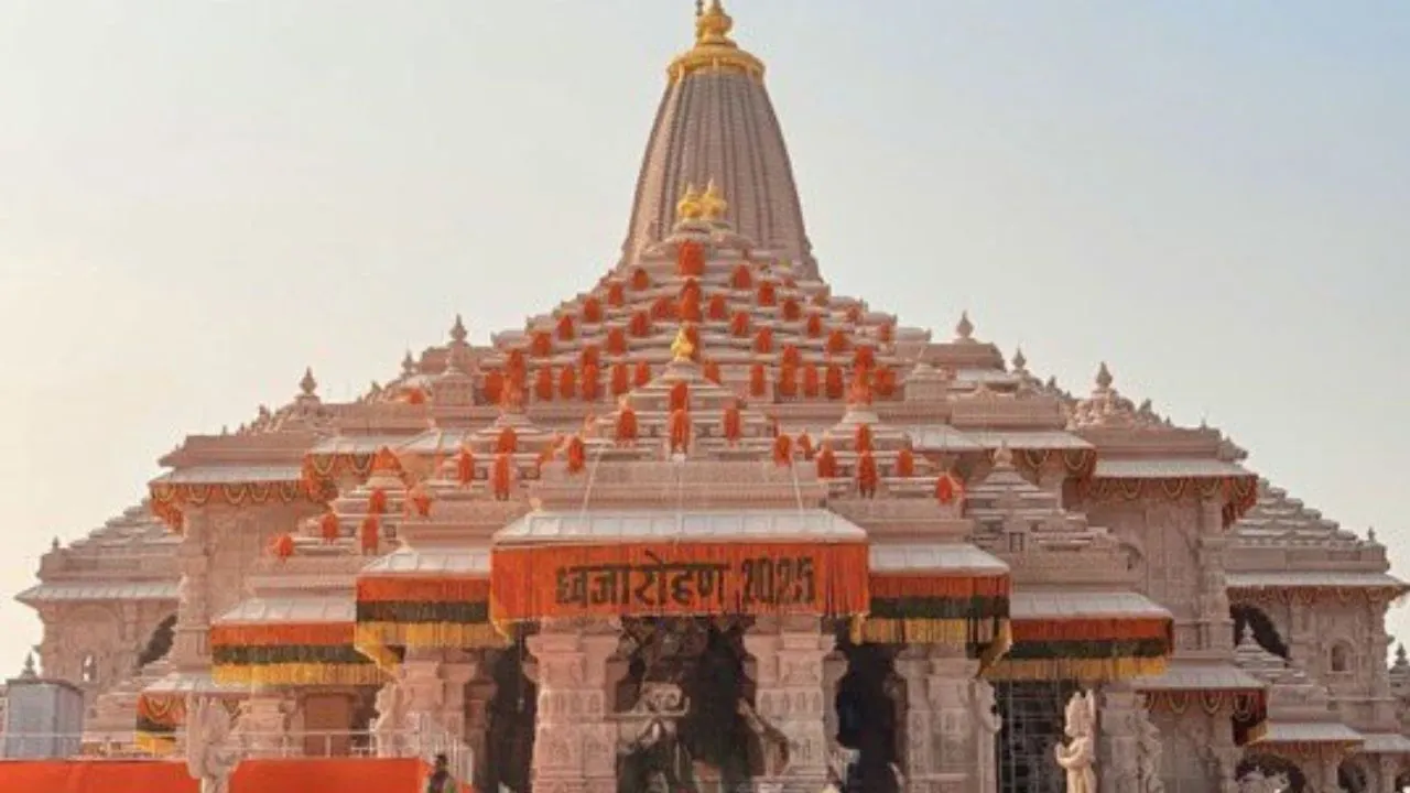 Untitled design (11)