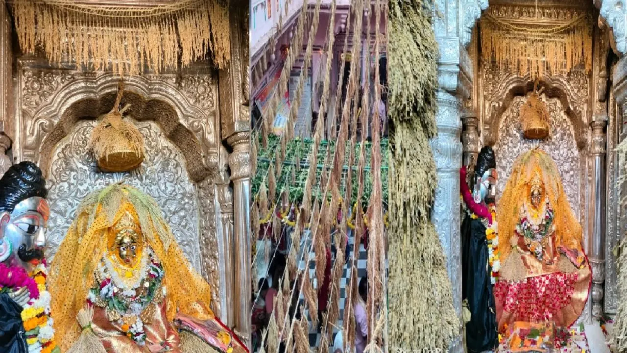   धान की बालियों से विशेष श्रृंगार...  काशी में मां अन्नपूर्णा मंदिर में 17 दिवसीय महाव्रत का हुआ उद्यापन, भारी संख्या में उमड़े श्रद्धालु 