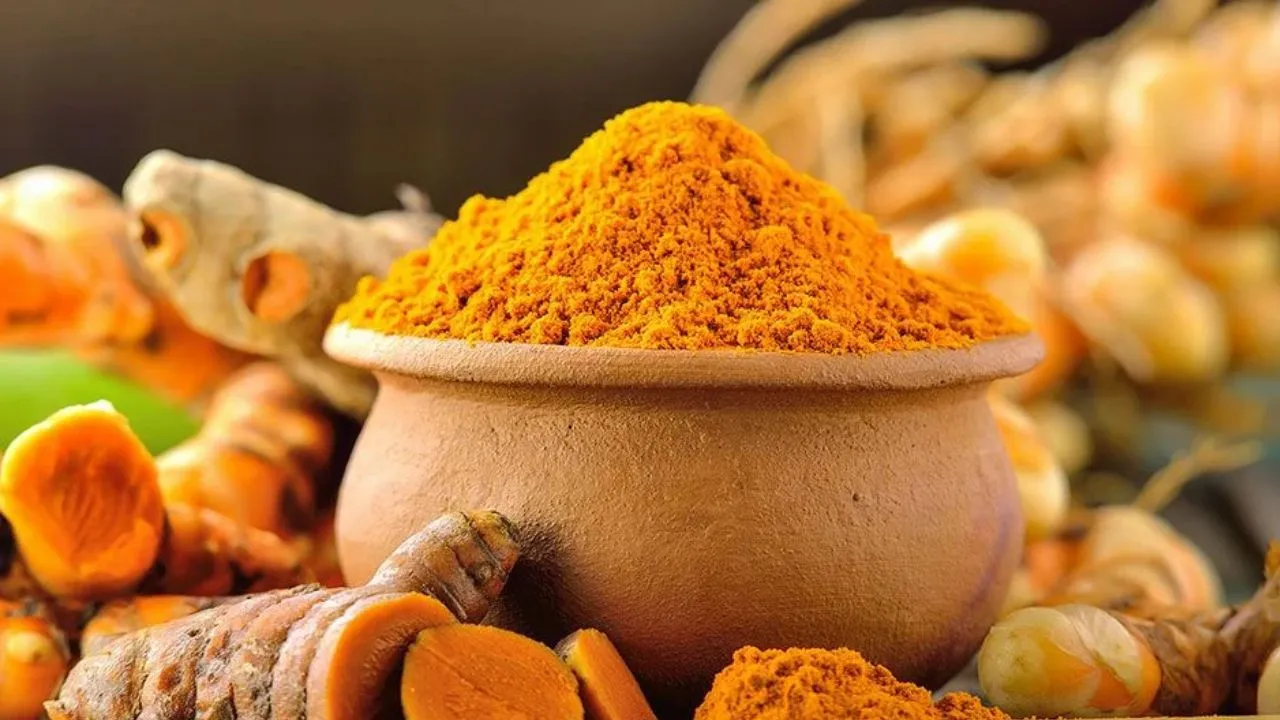 हल्दी है सेहत का खजाना... बीएचयू शोधकर्ताओं और खाद्य विज्ञान को मिली बड़ी सफलता, शरीर को शक्ति प्रदान करने के लिए खोजा ये तरीका 