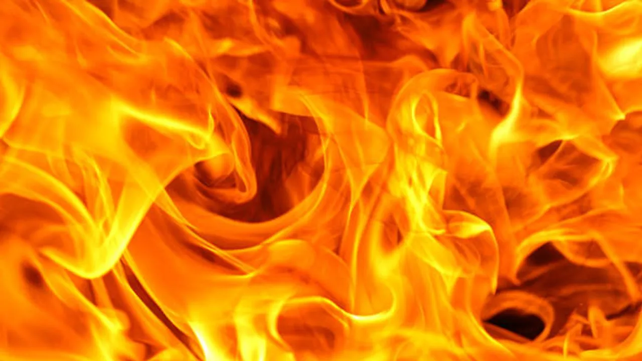 Noida :  मिनी कनॉट प्लेस स्थित बिल्डिंग में लगी आग...कोई हताहत नहीं, मौके पर पहुंचे फायर फाइटर ने बुझाई आग 