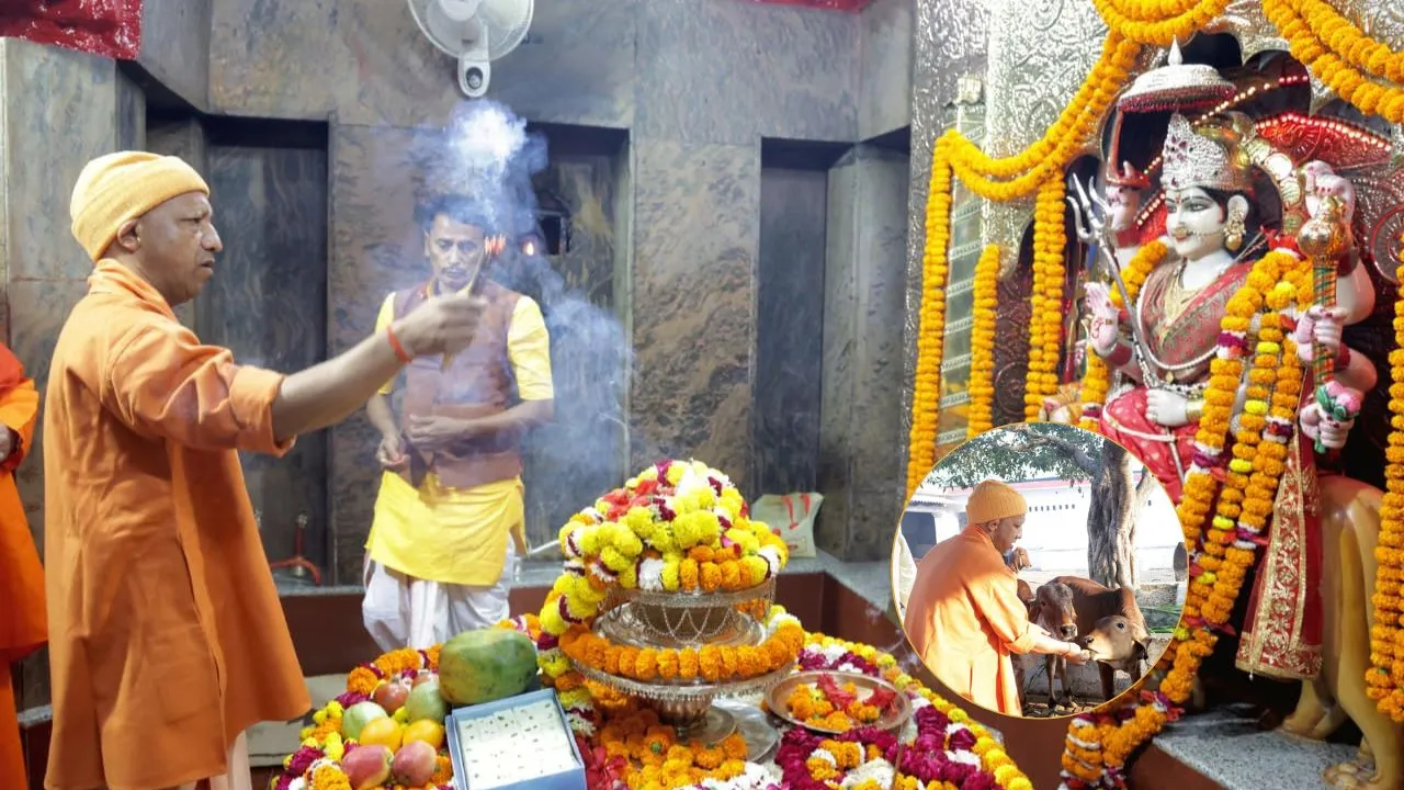 देवीपाटन मंदिर में CM योगी ने की मां पाटेश्वरी की आराधना, गायों को खिलाया चना और गुड़