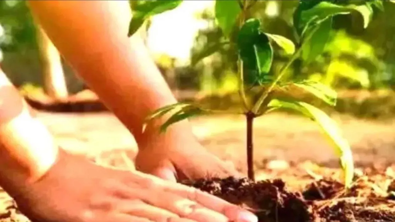 देश में वन क्षेत्र 25 % से अधिक होने से कार्बन निस्तारण 2.29 बिलियन बढ़ा, 2005 से 2021 के बीच देश के क्षेत्रफल का 25.17 प्रतिशत हुआ वनाच्छादित