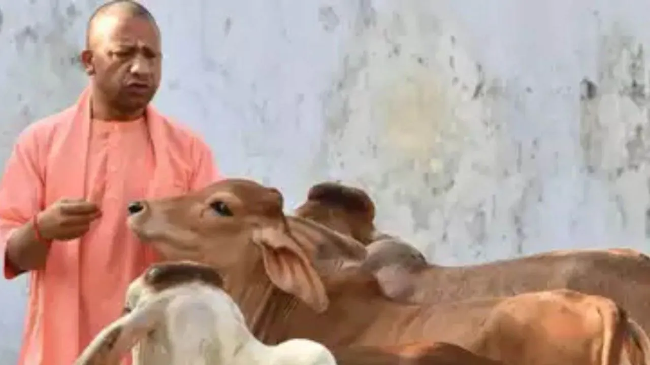 मंत्री धर्मपाल सिंह के निर्देश , पर्यटन स्थल के रूप में विकसित हों बड़े गो आश्रय स्थल, PPP मॉडल प्रोजेक्ट के तहत किया जाएगा विकास