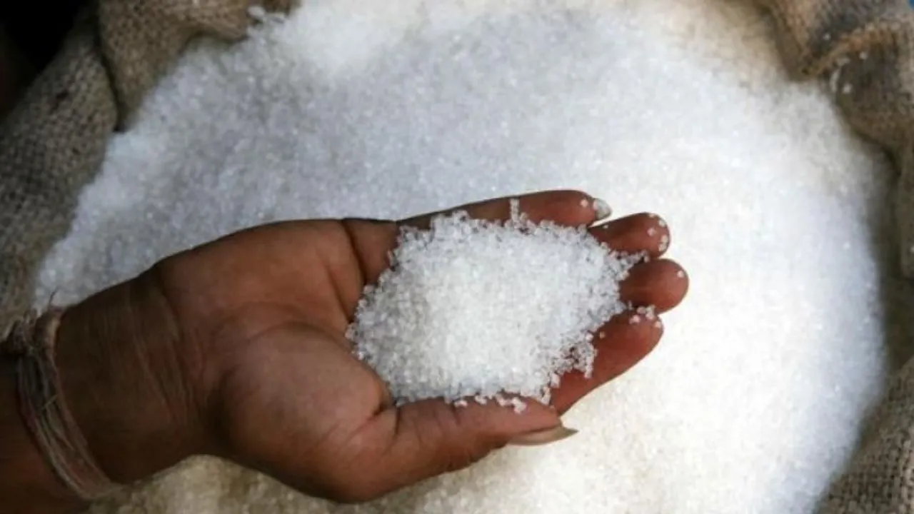 चीनी उत्पादन में महाराष्ट्र को पीछे छोड़ यूपी बना नंबर वन... हो सकती हैं 2 % की बढ़ोतरी, ISMA ने जारी की रिपोर्ट 