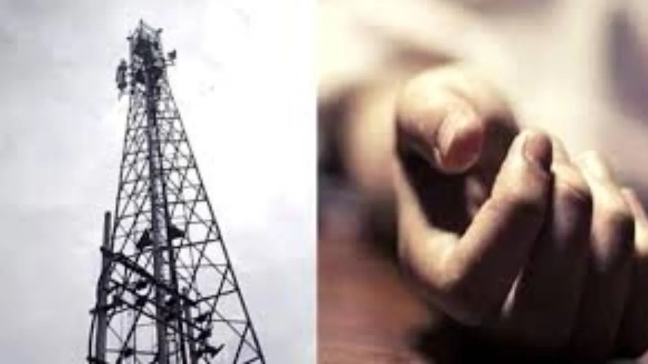  फिरोजाबाद में बिजली टावर से गिरकर युवक की मौत:  सेफ्टी बेल्ट के टूटने से हुआ हादसा, पुलिस ने जांच की शुरू 