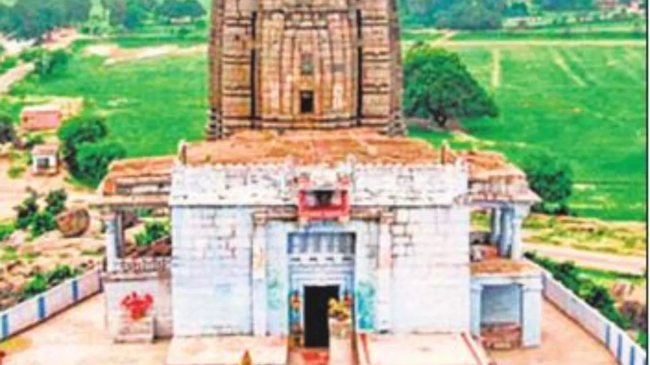 Untitled design (65)