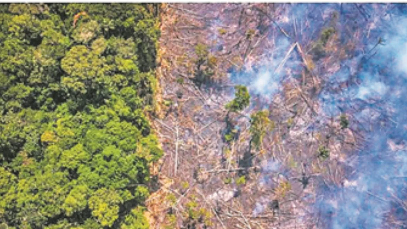 खतरनाक है अमेजन टिपिंग पॉइंट