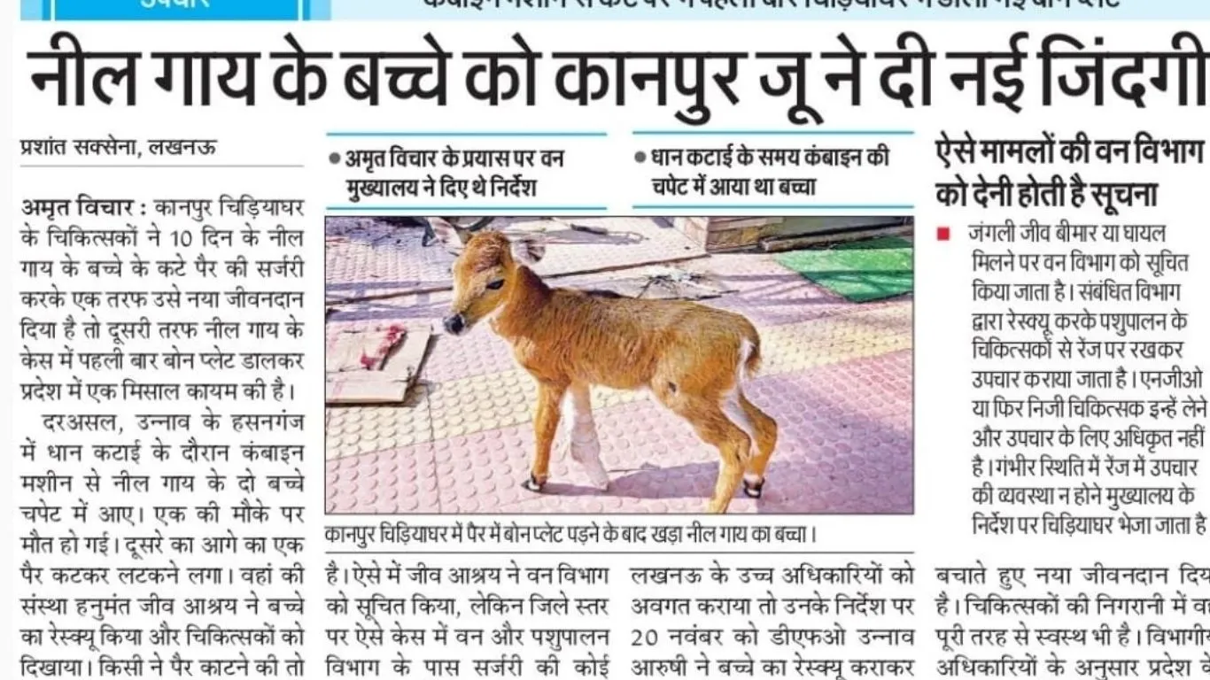 Untitled design (75)