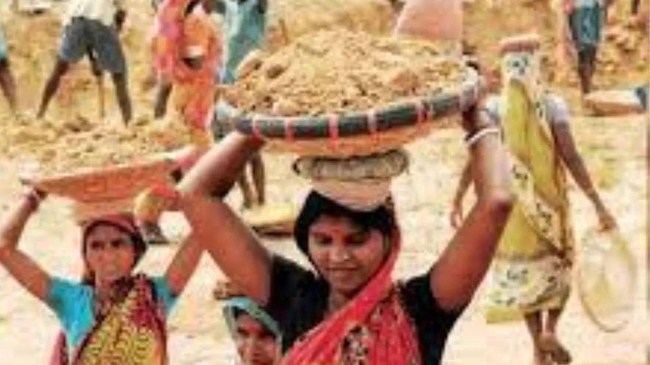 मनरेगा में अचानक आई गिरावट :  327 ग्राम पंचायतों में गिरा काम का ग्राफ, धान की कटाई में मिल रही ज्यादा मजदूरी 