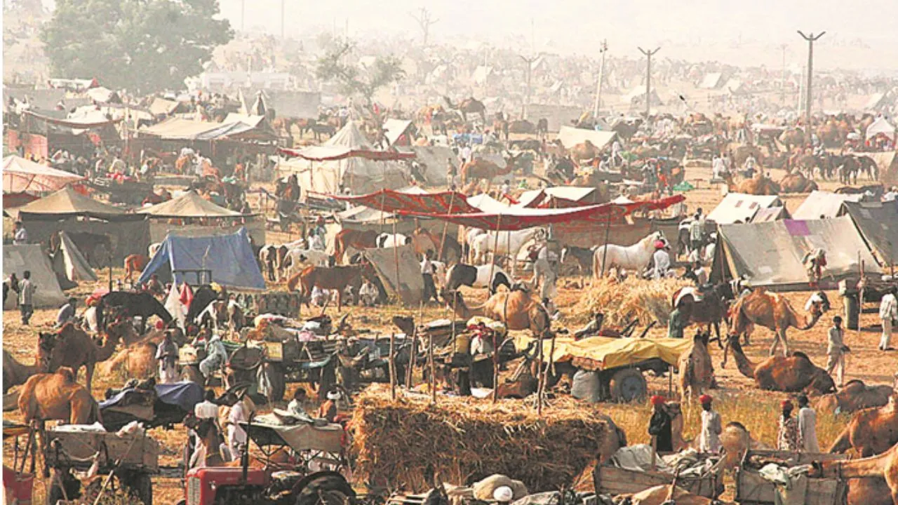 Untitled design - 2025-11-05T124056.163