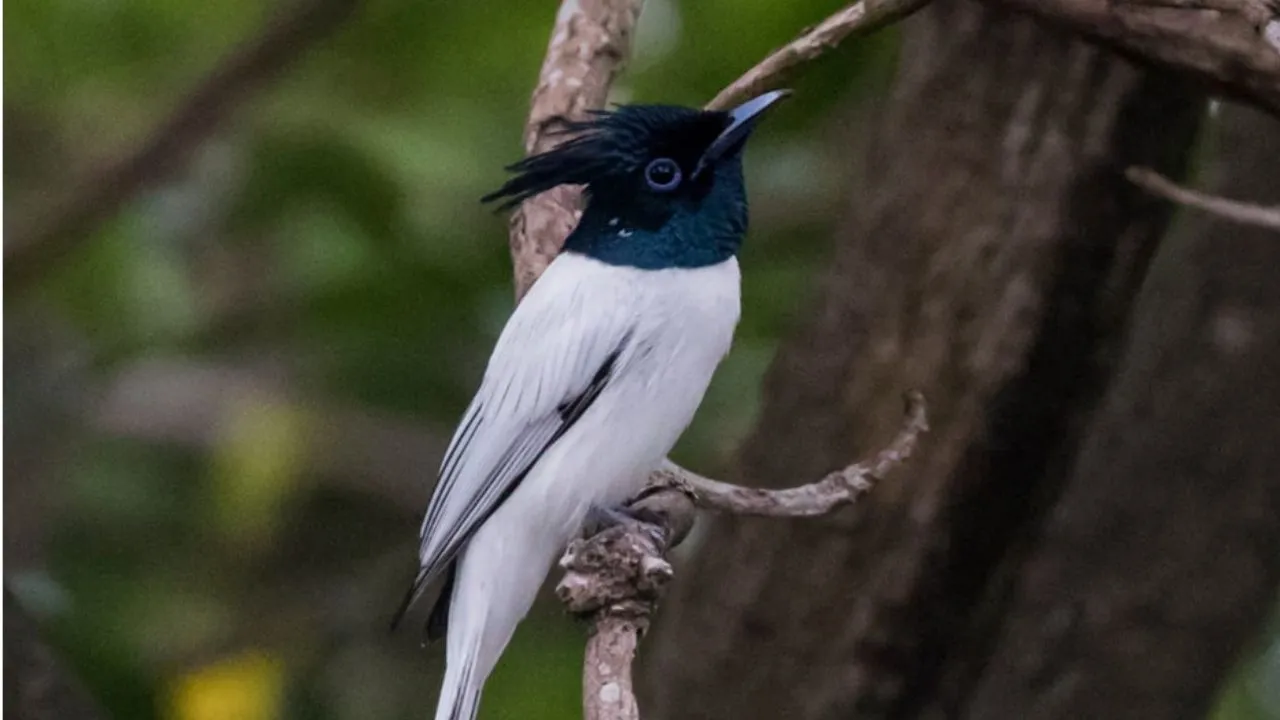 Untitled design - 2025-11-07T140604.561