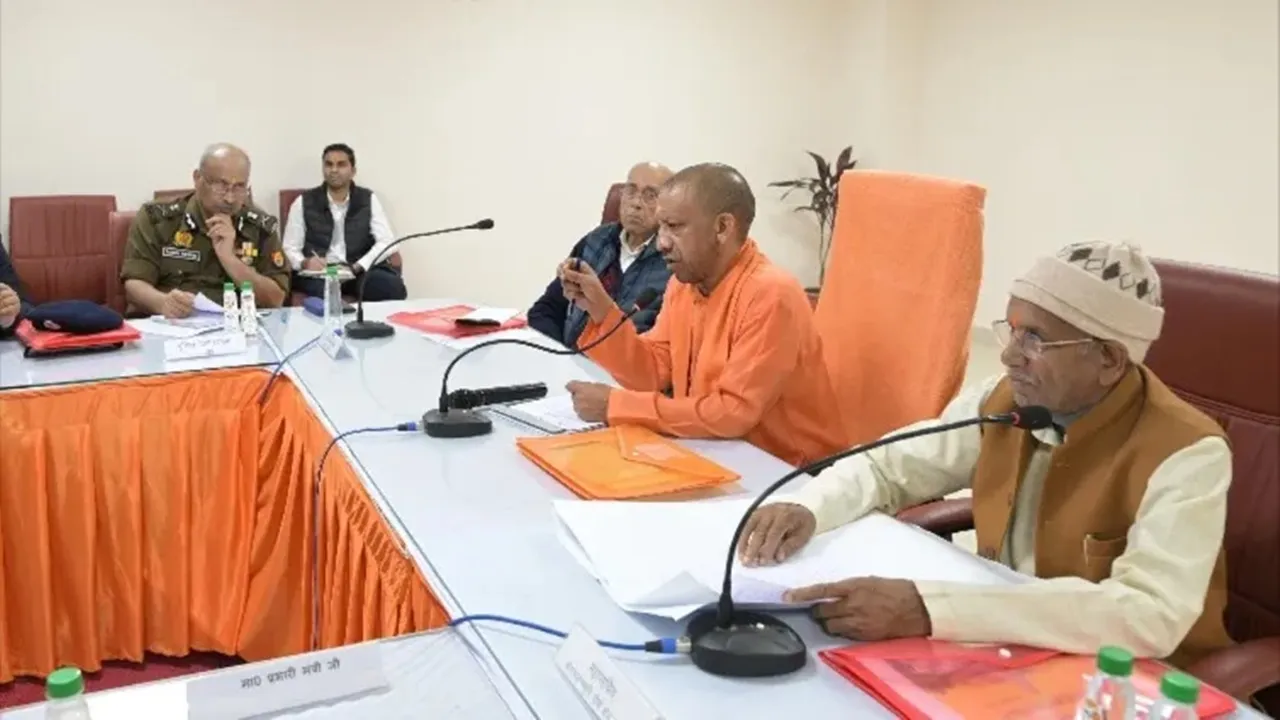 yogi