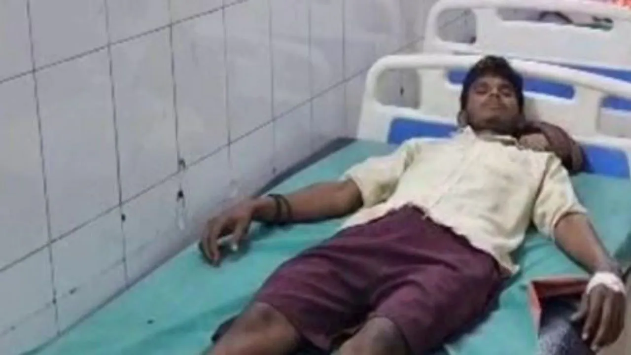  हरदोई :  कोबरा के फन को युवक ने चबा डाला, सांप की मौत
