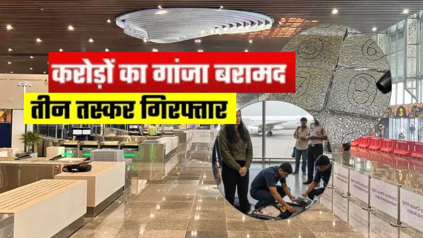 लखनऊ एयरपोर्ट पर पकड़ा गया 12.7 हाई क्वालिटी का गांजा: थाईलैंड से आये तीन यात्री गिरफ्तार, बरामद ड्रग Hydroponic Cannabis 