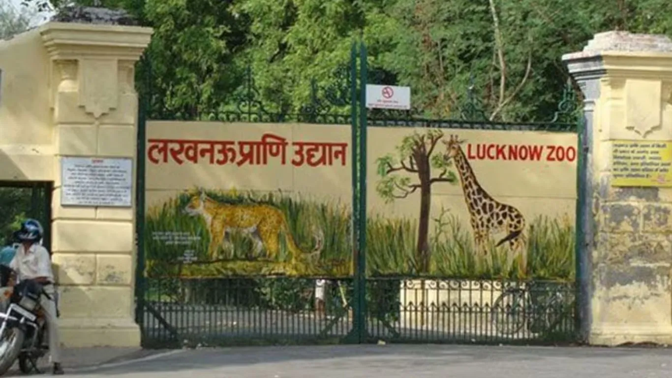 ईको-टूरिज़्म को बढ़ावा देने के लिए योगी सरकार का बड़ा कदम, लखनऊ चिड़ियाघर को संवारने में खर्च करेगी 1.91 करोड़  