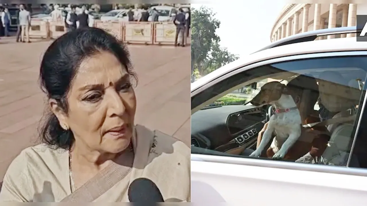 कुत्ते नहीं काटते...  स्ट्रीट डॉग को कार में लेकर संसद पहुंची रेणुका चौधरी तो भड़का सत्तापक्ष कहा- नाटक कर रहीं कांग्रेस सांसद