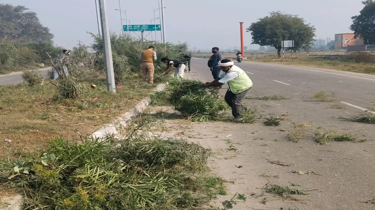 कानपुर : डिवाइडर में उगी घास और जमा मिट्टी की सफाई शुरू