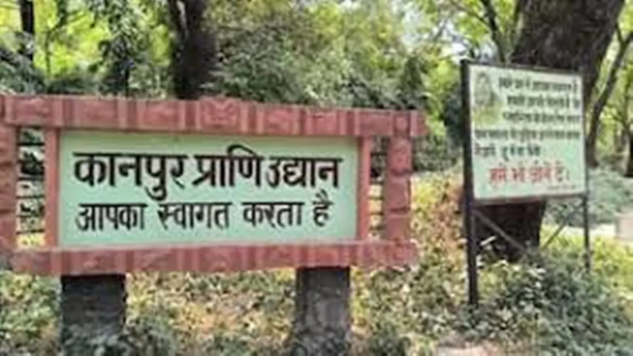Kanpur Zoo: कानपुर चिड़ियाघर में बच्चे एयर गन से शूटिंग का लुत्फ उठा सकेंगे 
